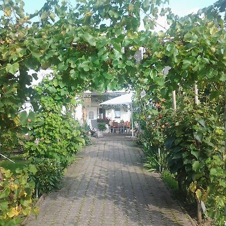 布鲁蒂凡科Ferienweingut Arnold Thiesen公寓 外观 照片